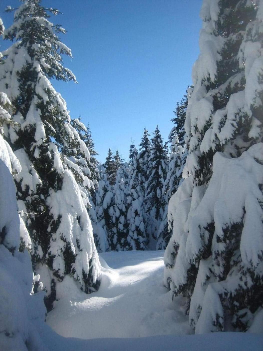 Suite Chalet Ponte Di Legno Rom bilde